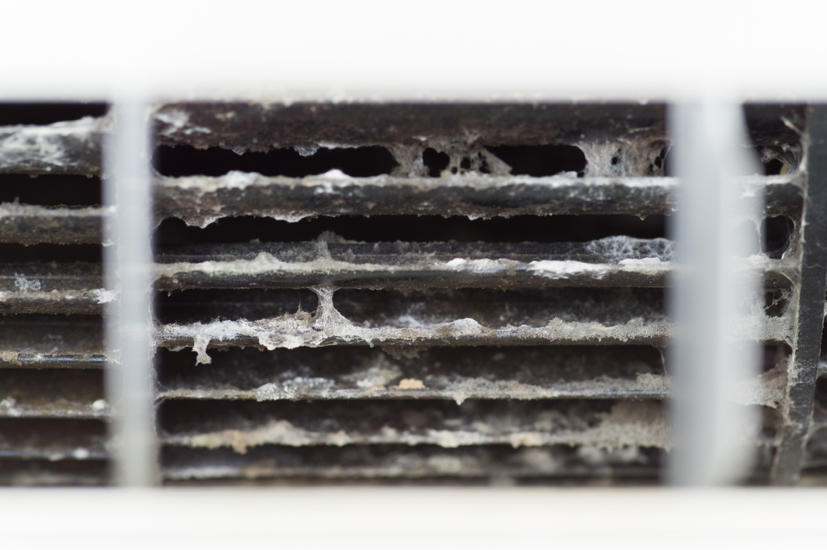 Mold inside the air conditioner.